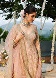 Baby Pink Net Suit Dress