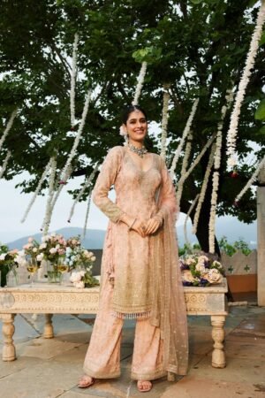 Baby Pink Net Suit Dress